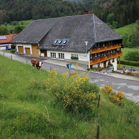 Ferienwohnung Talblick Todtmoos Exterior photo