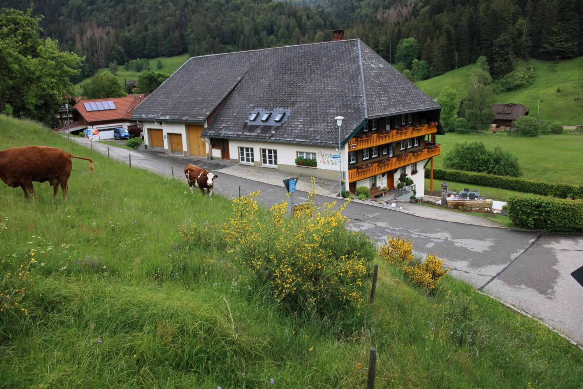 Ferienwohnung Talblick Todtmoos Exterior photo
