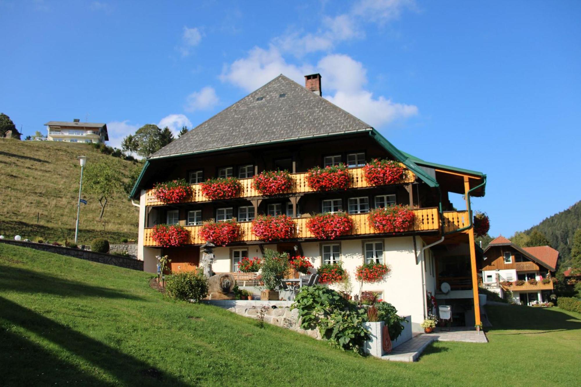 Ferienwohnung Talblick Todtmoos Exterior photo